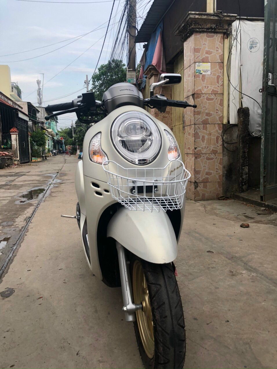 Rổ lưới thái gắn cho xe Scoopy .. kiểu tròn