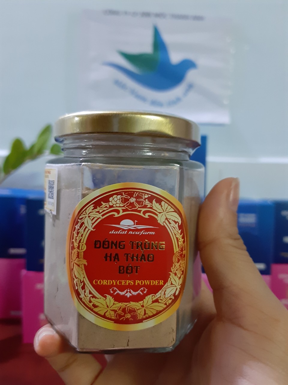 Bột đông trùng hạ thảo dalatnewfarm - món quà kỳ diệu từ đất lành