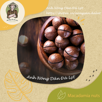 Hạt Macca Đà Lạt nhà trồng - Đặc sản Tây Nguyên - Anh Nông Dân Đà Lạt