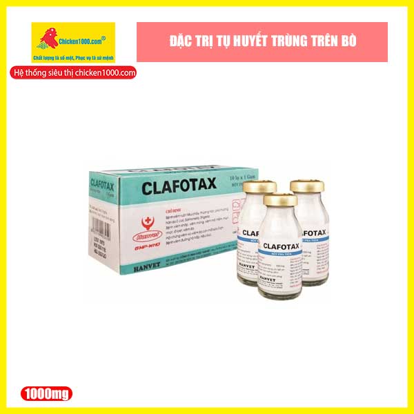 Thuốc thú y clafotax hanvet trị viêm ruột tiêu chảy lọ 1000mg
