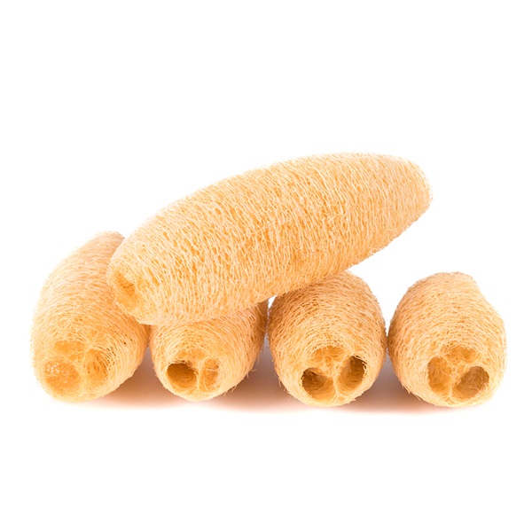 Xơ Mướp Tự Nhiên - Leafhouse hcm