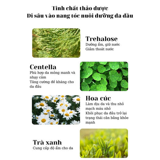 Tẩy da chết cho tóc và da đầu JIORNIEE Hana Tech hũ 250ml - Sạch Gàu, Kiềm Soát Dầu Thừa, Tóc Không Còn Bết Dính - Tẩy tế bào chết da đầu, tẩy tế bào chết tóc, tẩy da chết đầu, tẩy tế bào chết cho da đầu - Hanatech