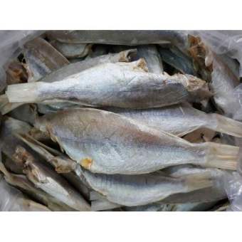 khô cá đổng bao ngon (0.5 kg)