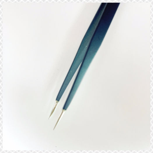 Nhíp nhặt lông yến