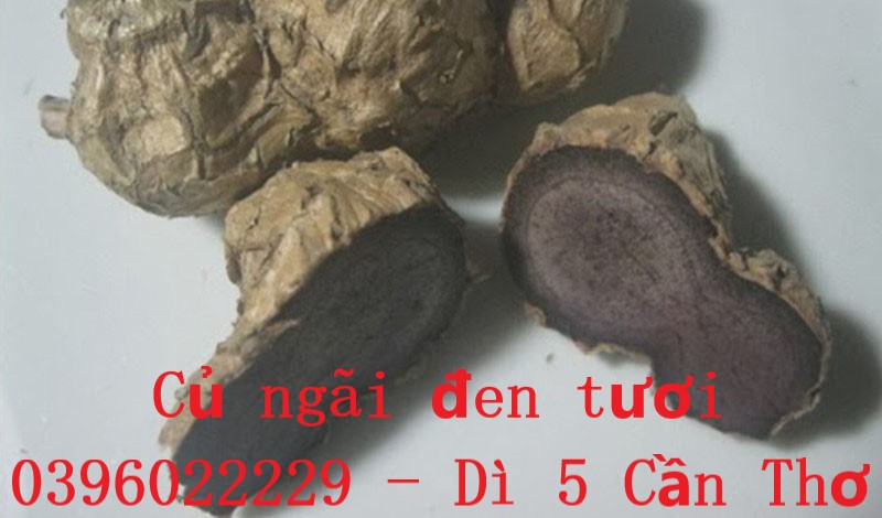 Củ ngãi đen tươi nhà trồng đẹp 1 ký