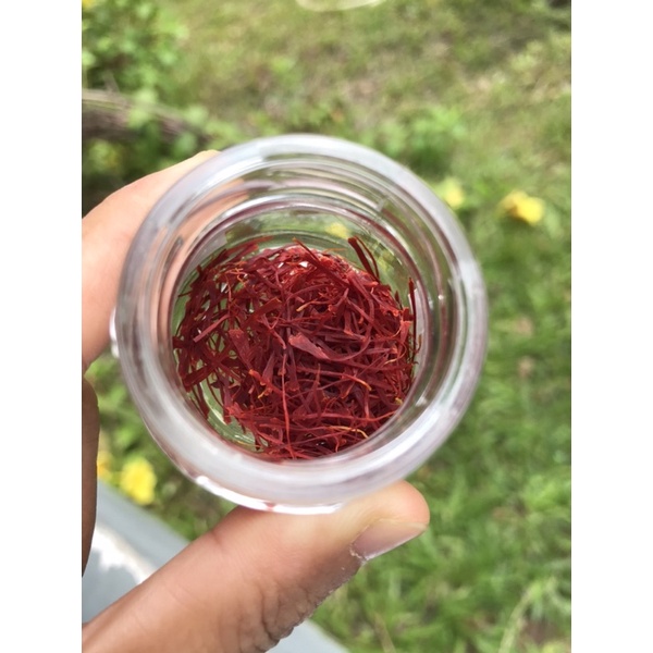 Nhuỵ hoa nghệ tây - Saffron loại A1