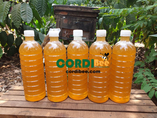 1 lít Mật Ong Hoa Cà Phê Nguyên Chất Đăk Lăk giá sỉ