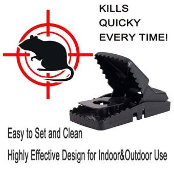 Bẫy chuột - bẫy chuột thông minh