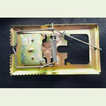 Bẫy đập chuột răng cưa rất nhạy siêu khỏe, bẫy vòng cung - Bẫy đập vàng