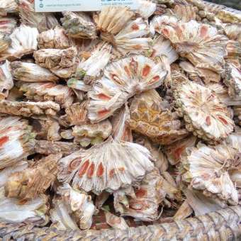 Quả dứa rừng - Quả dứa dại 1kg khô