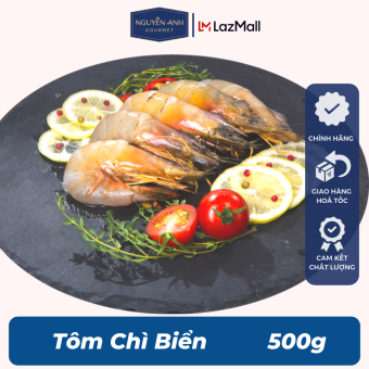 Tôm chì biển tươi Nguyên Anh đặc sản Phú Quốc hải sản tươi sống như cá, tôm tươi, mực tươi loại 500gr Hải Sản Nguyên Anh.