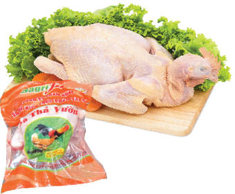 Gà thả vườn Vietgap Sagrifood (size 1.4 - 1.6kg) - [Giao Ngay Tại HCM]