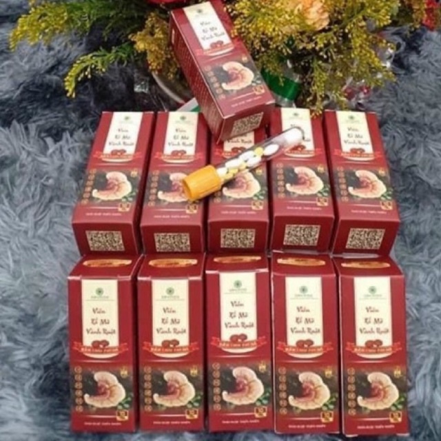 Xổ mỡ vành ruột Linh chi