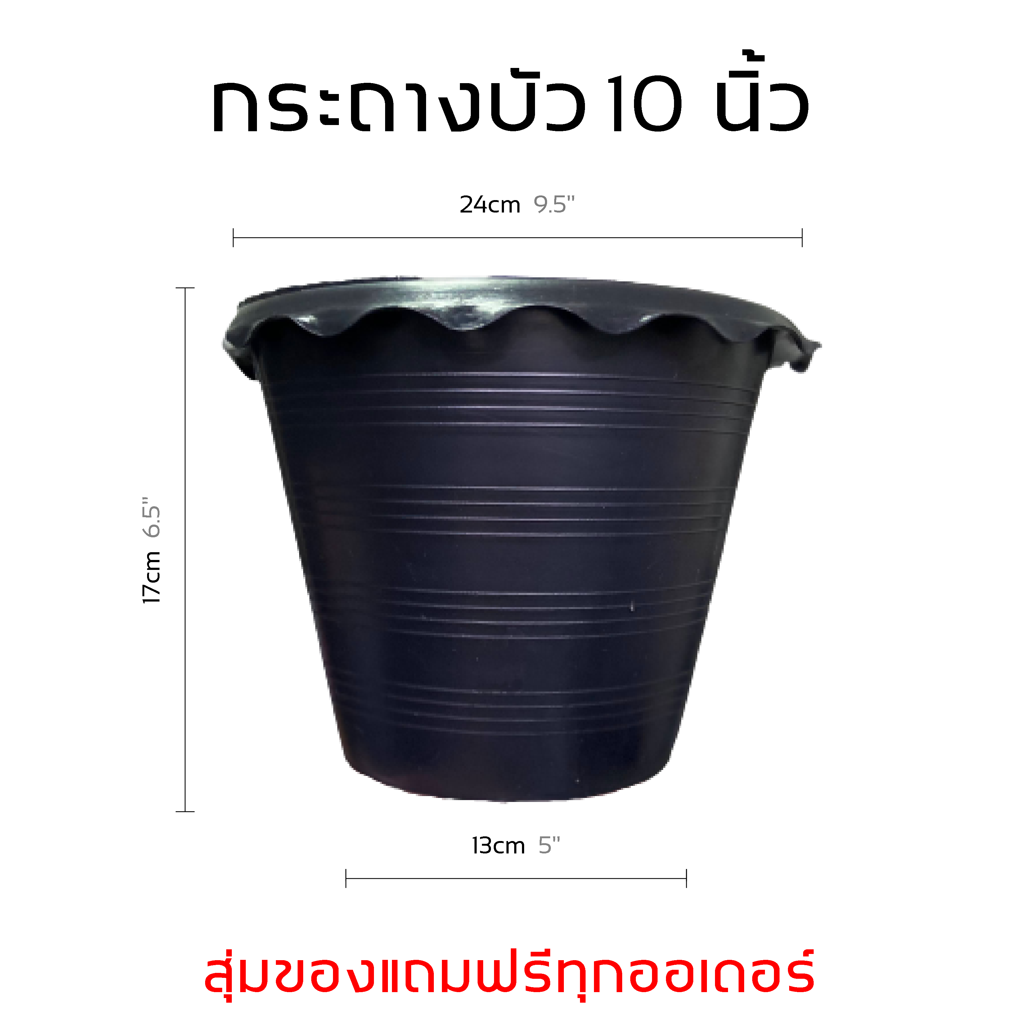 [ส่งฟรี] กระถางบัว 10 และ 12 นิ้ว สีดำ ราคาส่ง