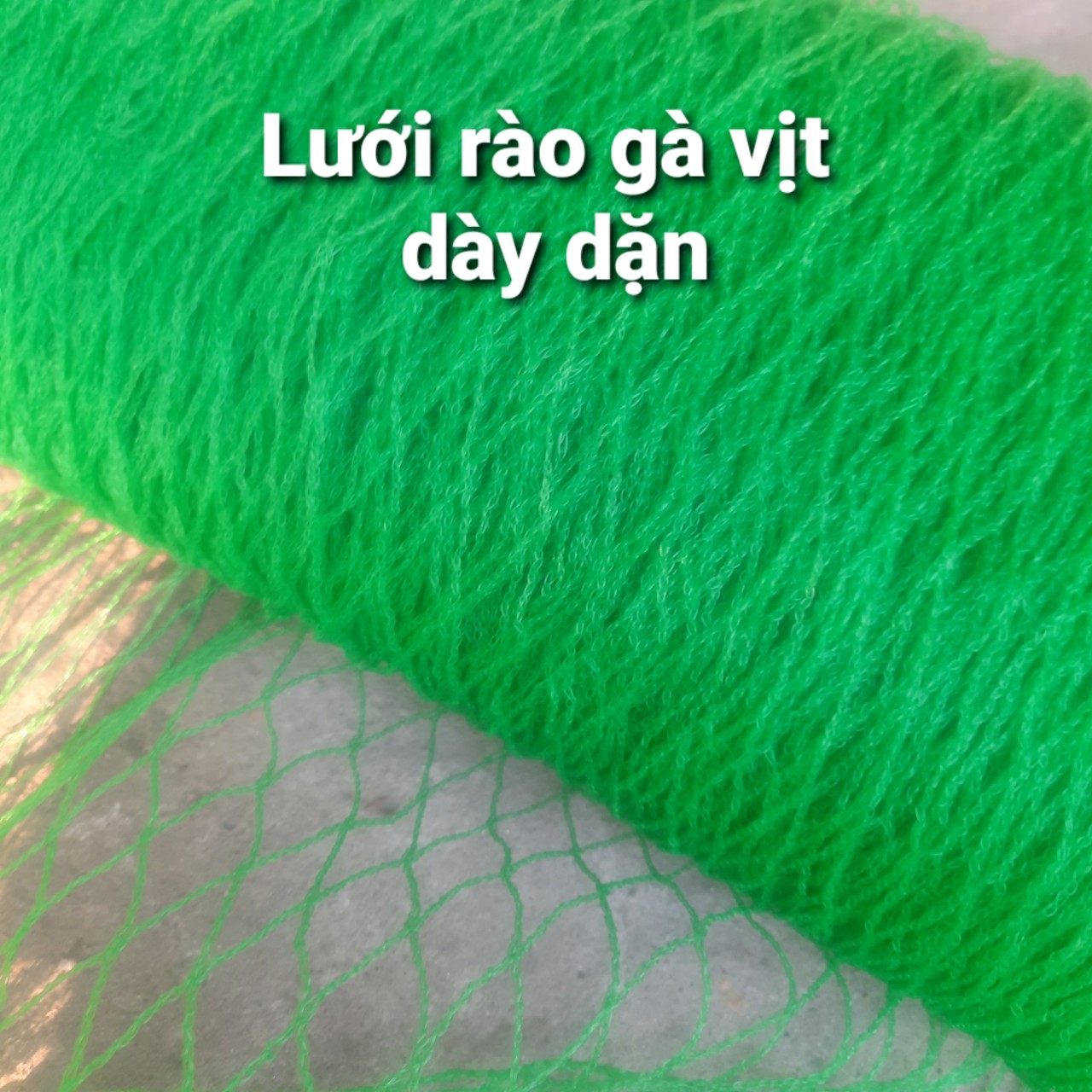 COMBO 50 Mét lưới cước xanh đẹp rào gà, rào vườn, rào đa năng khổ cao 2 mét ô lưới rộng 3x3cm