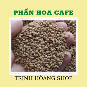 Phấn Hoa Mật Ong - Phấn Hoa Ong Nội - Phấn Hoa Cà Phê - Loại 500g