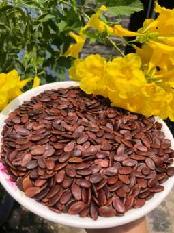 Hạt Dưa Loại 1 Không Màu - An Toàn Sức Khỏe 1 KG