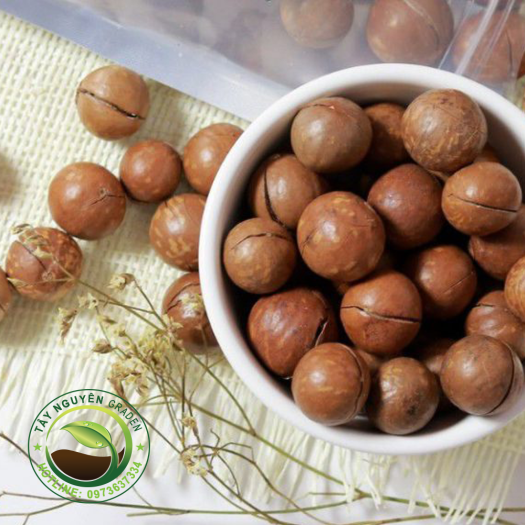 500G Hạt mắc ca Đắk Lắk - Hạt macca Đăk Lắk