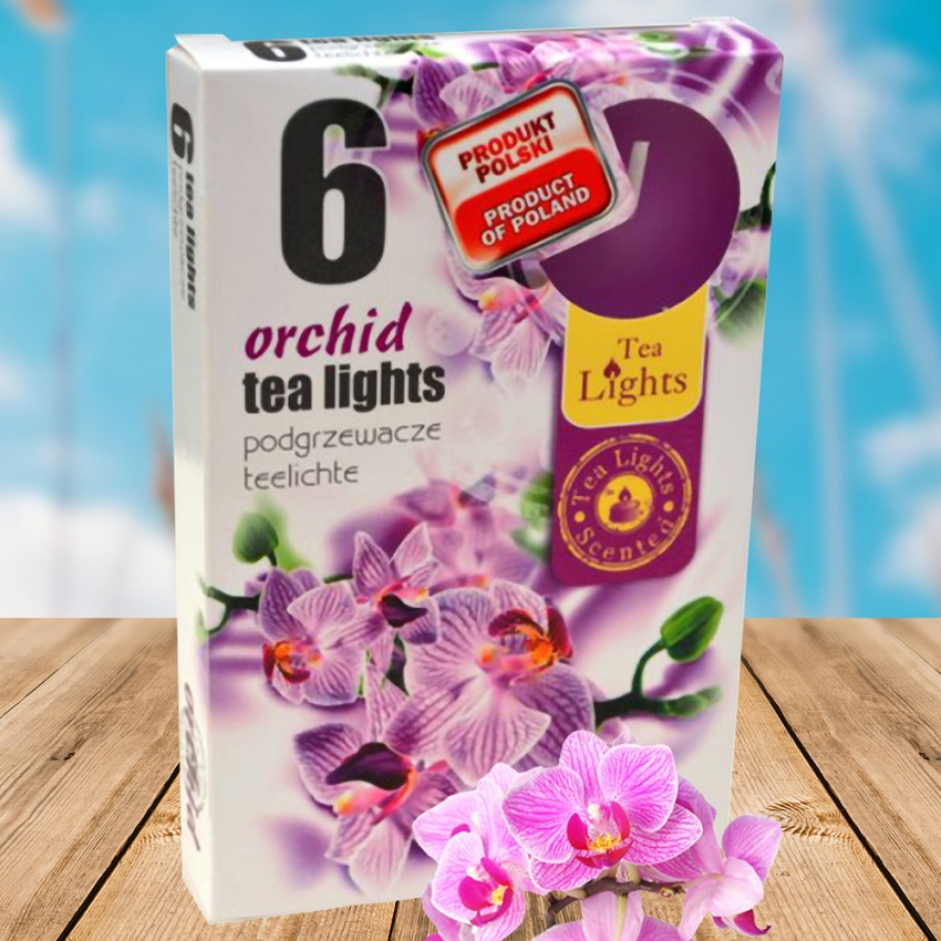 Hộp 6 Nến Thơm Tealight Admit ADM7708 Orchid Hoa địa lan