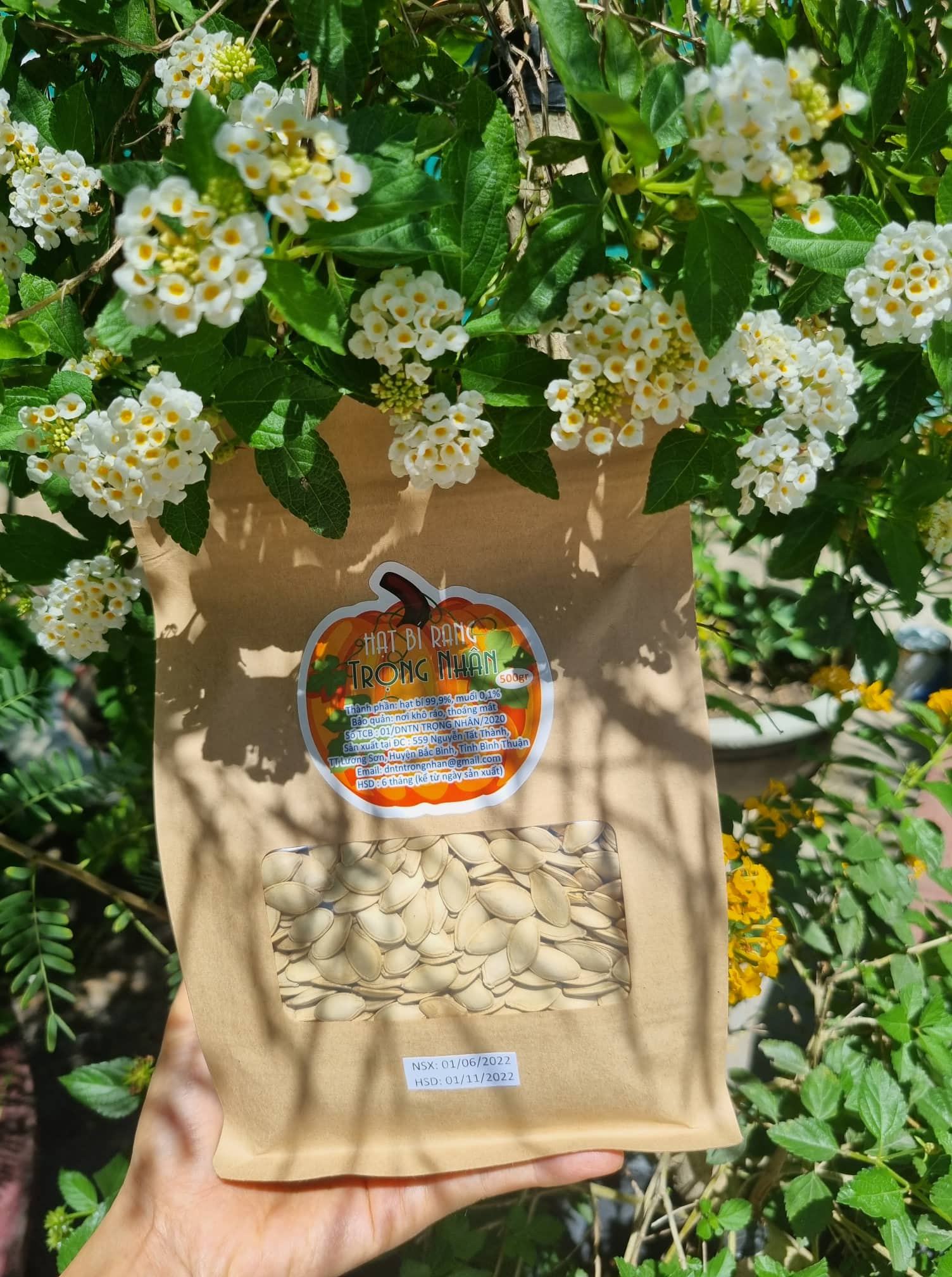 Hạt bí rang Trọng Nhân túi 500 gram