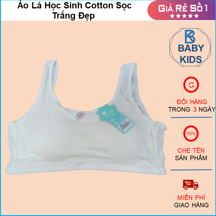 Combo 2 áo lá học sinh cotton sọc trắng đẹp