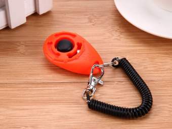 Clicker huấn luyện chó