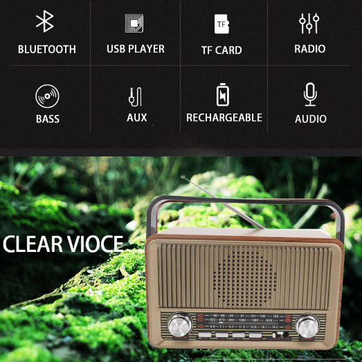 đài Radio Có Cổng Usb Giá Tốt T04/2023 | Mua tại 