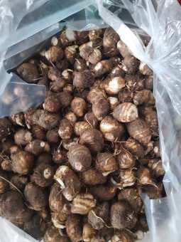 Khoai Môn Sọ Tươi Lâm Đồng - Thơm Ngon -Bở Dẻo -Hàng Tươi Mới Mỗi Ngày