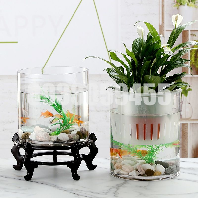 Bình Bông Lọ Hoa Thủy Tinh Trang Trí trụ tròn, Chậu nuôi cá, Bình Cắm Hoa Thủy Tinh Trụ, Lọ Hoa Hình Trụ, Bình Bông