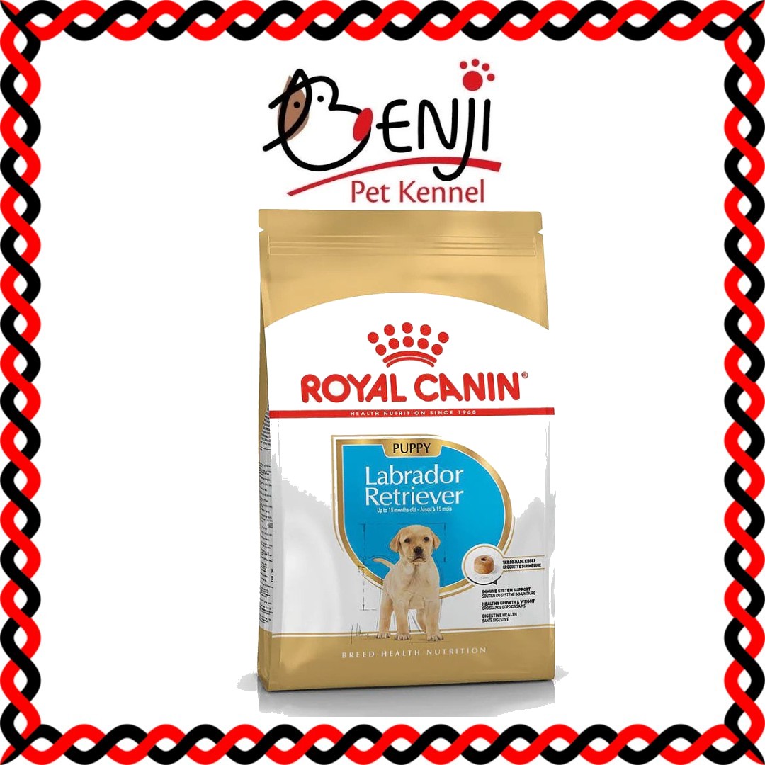 royal canin labrador puppy