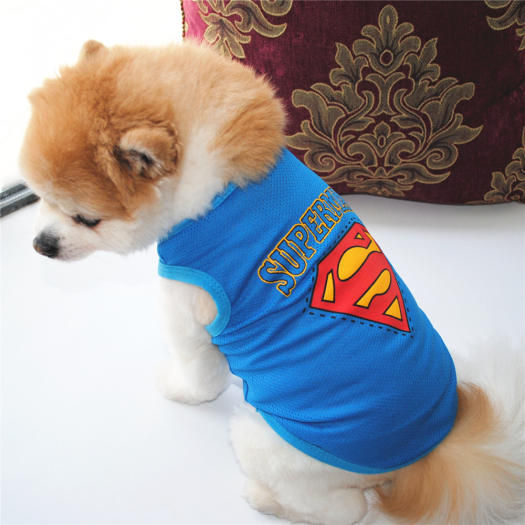 DY Yêu Mùa Hè Cún Con Siêu Nhân In Quần Áo Cho Mèo Cho Nam Thoáng Khí Quần Áo Cho Chó