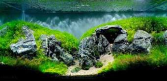 1KG Đá Kẹp Kem Trang Trí Hồ Cá Thuỷ Sinh - Đá Kẹp Kem Thiết Kế Bể Cá Thuỷ Sinh