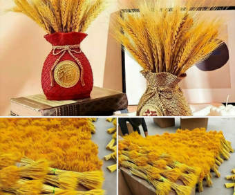 100 Bông lúa mạch khô trang trí