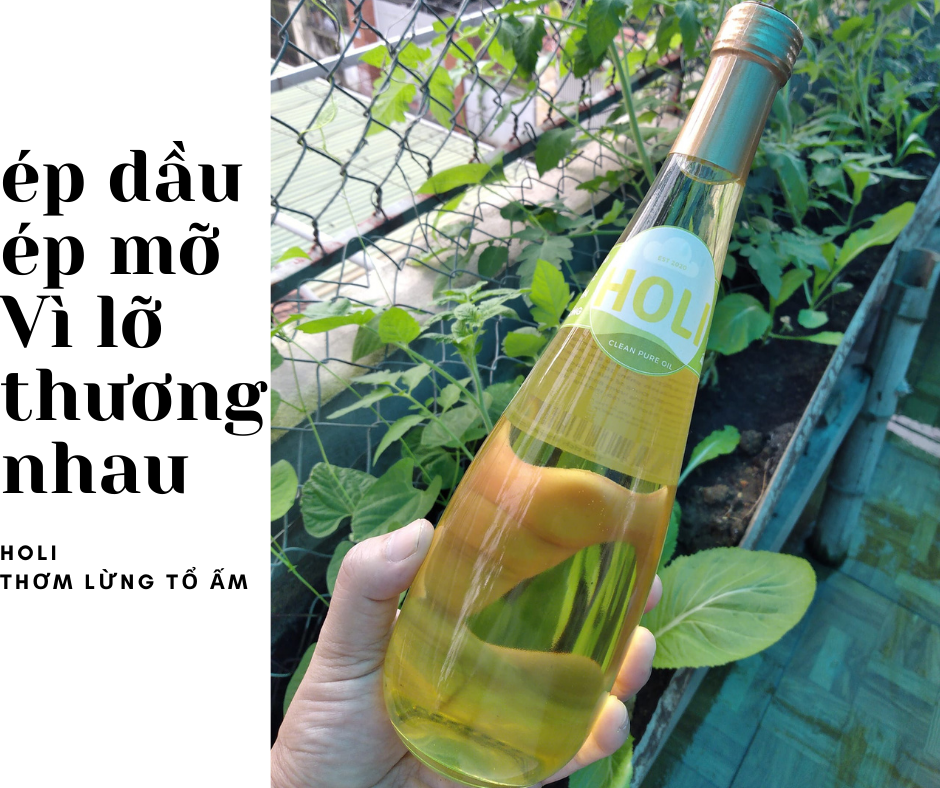 Dầu lạc nguyên chất ép lạnh Holi 500ml