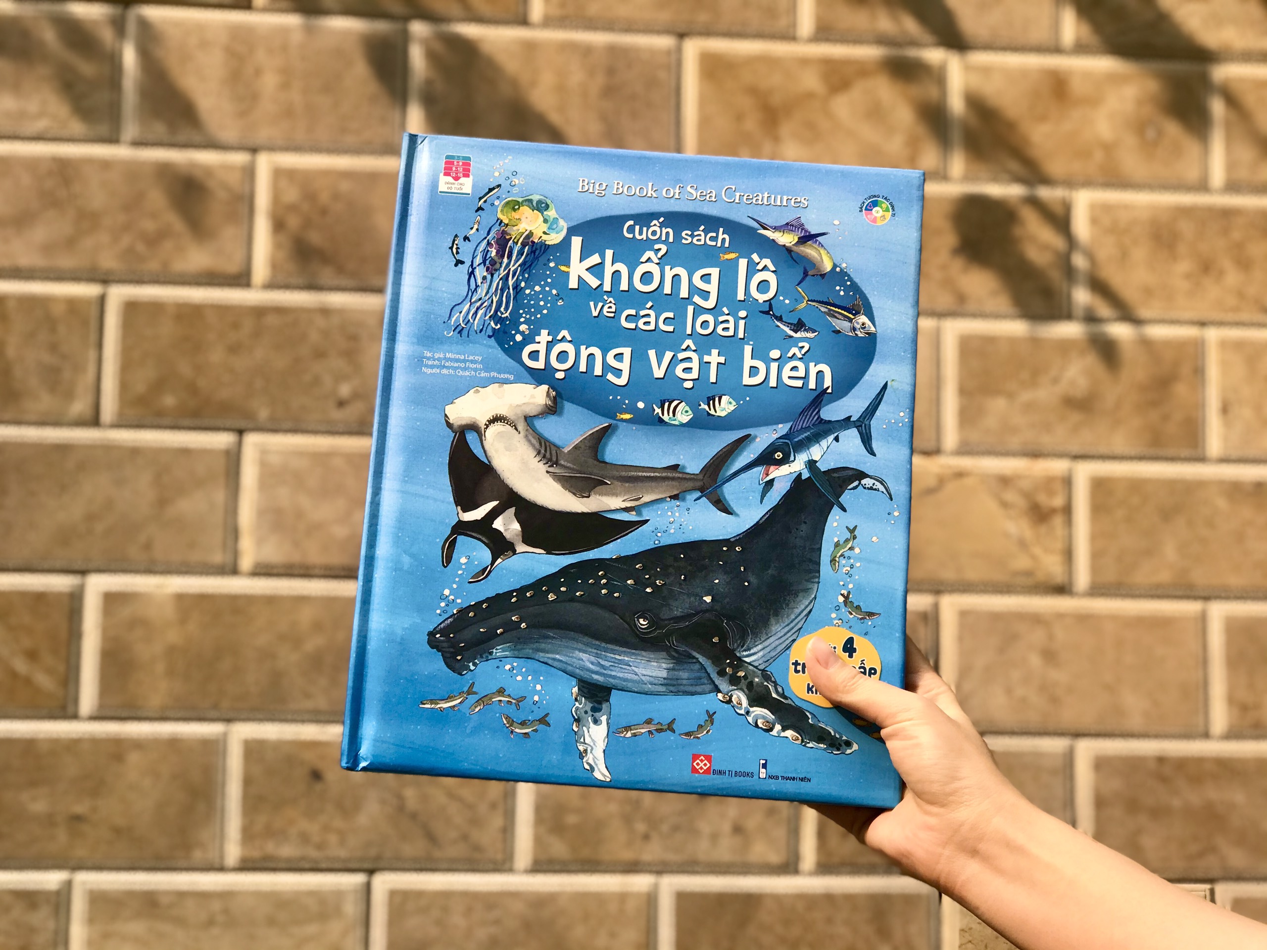 Big book - Cuốn sách khổng lồ về các loài động vật biển