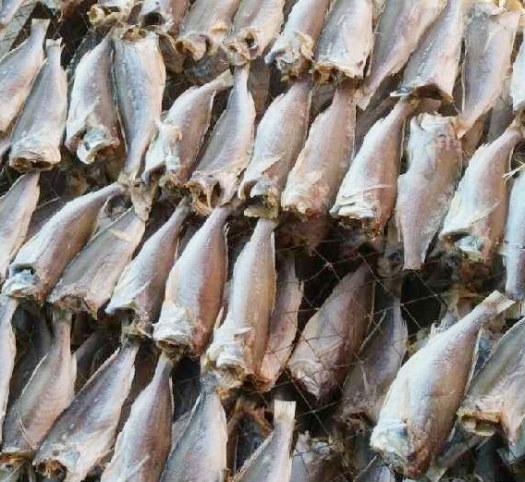 Cá minh thái khô, Cá khô xé hàn quốc - Khô cá Đù thơm ngon, Bổ Dưỡng, Sạch - Cam kết an toàn , không chất bảo quản, 100% từ tự nhiên - 1kg, 500gr, 100gr