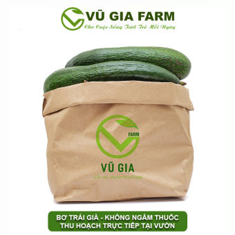 VG FARM 2Kg Bơ 034 Bảo Lộc Lâm Đồng ( 3-4 trái/ kg ) - Trái già hái trực tiếp tại vườn không lo hoá chất - Cơm vàng, sáp dẻo bao ăn