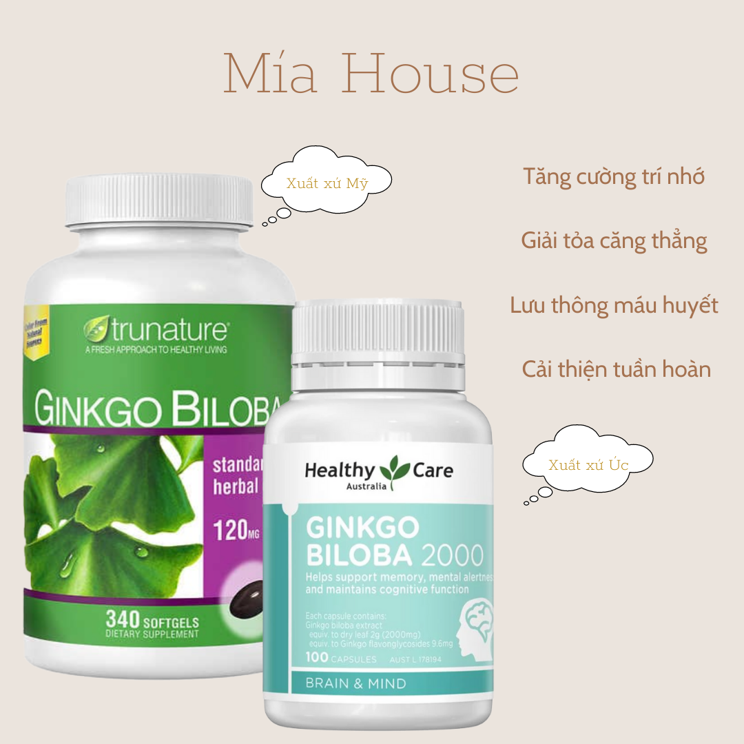 Viên bổ não ginkgo biloba