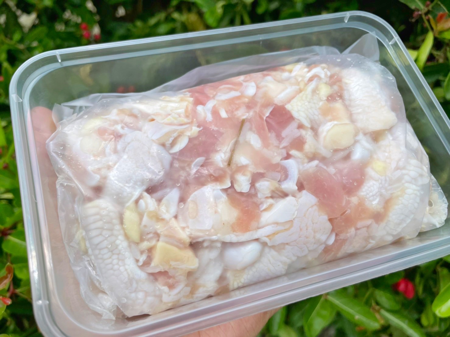 แหนมเอ็นไก่ 400 กรัม รสชาติกำลังดีไม่เปรี้ยวเกินไปทำสดใหม่ทุกวันเคี้ยวกรุบๆอร่อยเริ่ดด ราคา 115 บาท*ส่งฟรี