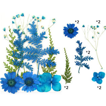 YONGDA💕Hoa Ép Hoa Khô Hỗn Hợp Hoa Nghệ Thuật Tự Làm Hoa Nghệ Thuật Tự Làm Quà Tặng Thủ Công