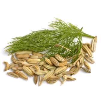 Tiểu hồi hương, gia vị thơm ngon cho món Phở, lẩu Tứ Xuyên I Kho Thảo Dược 24h