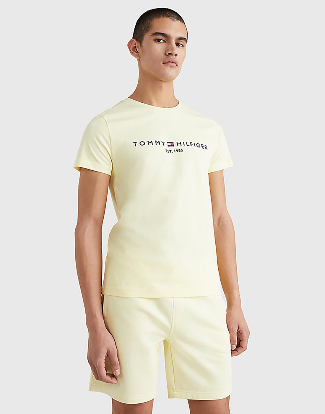 Tommy hilfiger - áo thun nam tay ngắn tommy logo tee mw0mw11797zhf