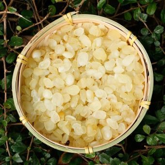 hạt bồ mễ 100gram - tuyết liên tử