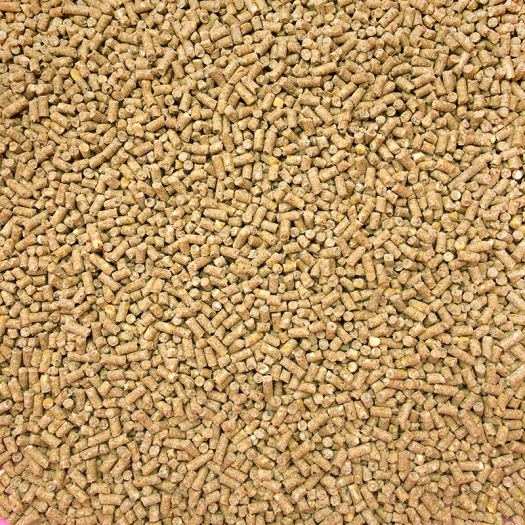 Cám gà thức ăn hỗn hợp dùng cho gà con gà đẻ gà lớn gói 1kg