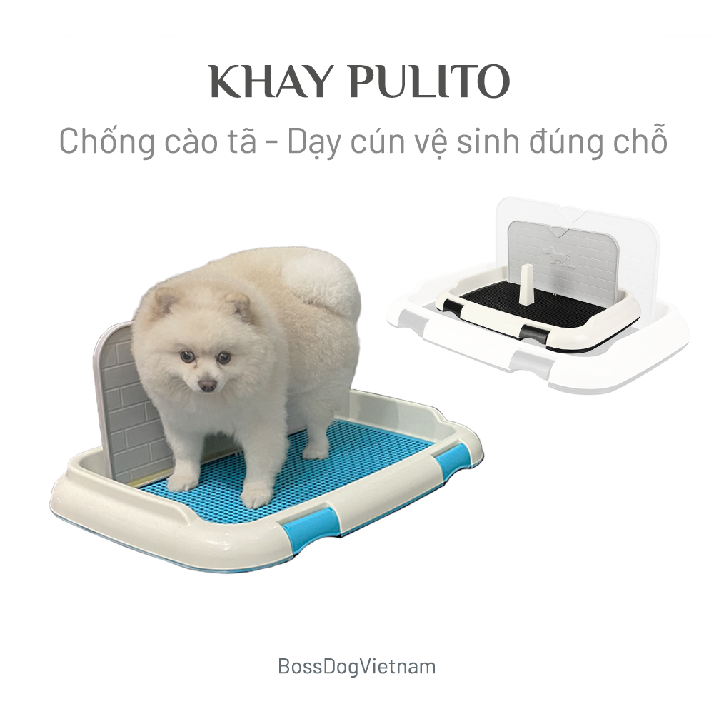 [HCM]Khay vệ sinh cho chó Pulito thiết kế có tường chống cào tã phù hợp mọi dòng cún Poodle Corgi Pom... | BossDog
