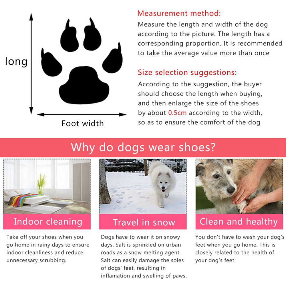 Why Do Dogs Carry Shoes
