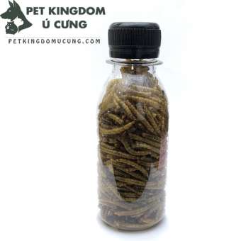Sâu Gạo Sấy Khô cho hamster