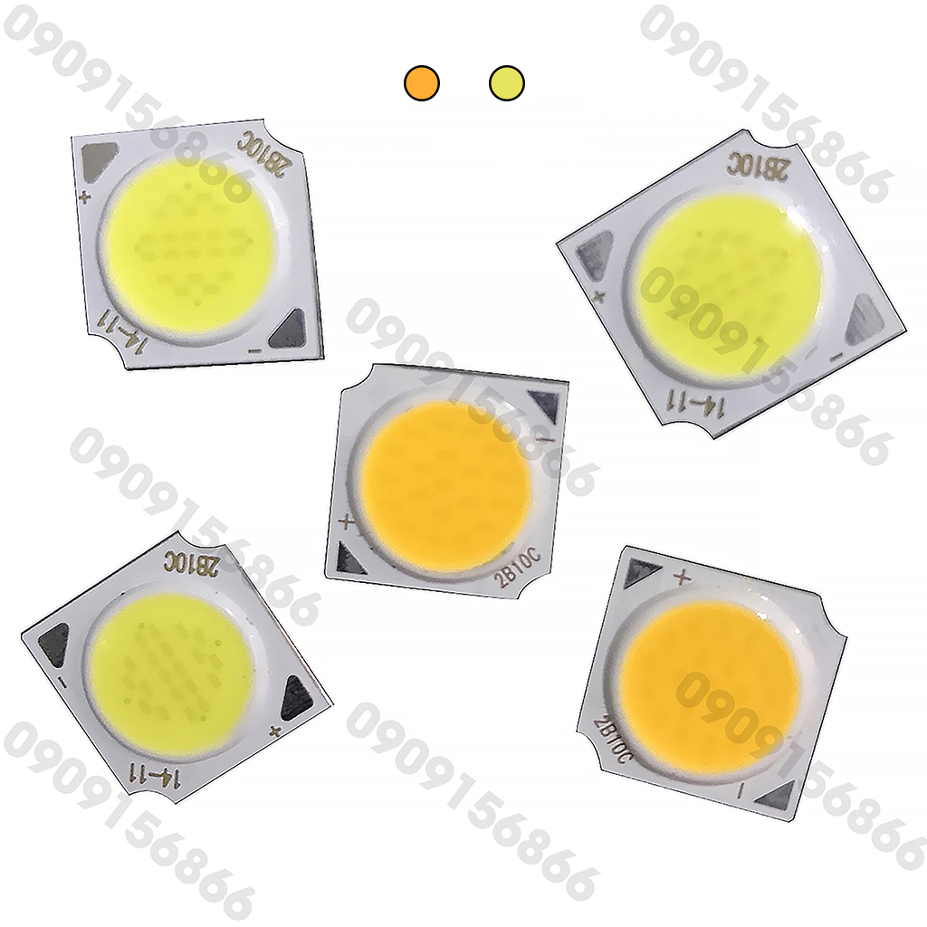 Mắt led cob 12w