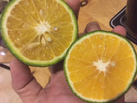 HCM - Cam sành mọng nước - [Giao nhanh TPHCM]