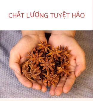 100gr- Hoa hồi/ Đại hồi/ Tai vị/ Star anise